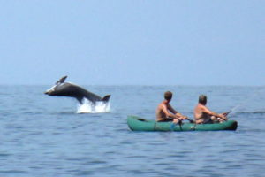 Рыбаки и игривый дельфин