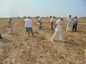 Участники семинара проводят оценку эффективности внесённого препарата Биовита-Агро по стерне озимой пшеницы
