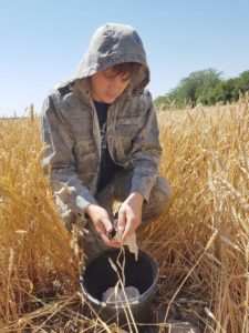Специалист отдела МПП Фуфлев С. В. проводит отбор смешанного почвенного образца